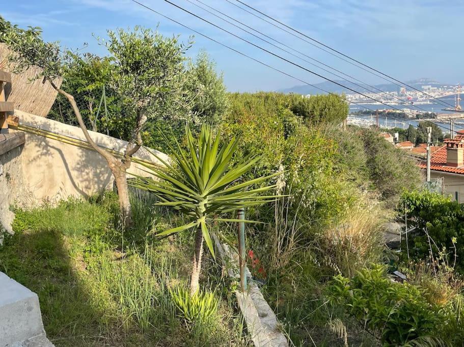 Superbe Terrasse Avec Vue Panoramique Sur La Mer Marseille Luaran gambar