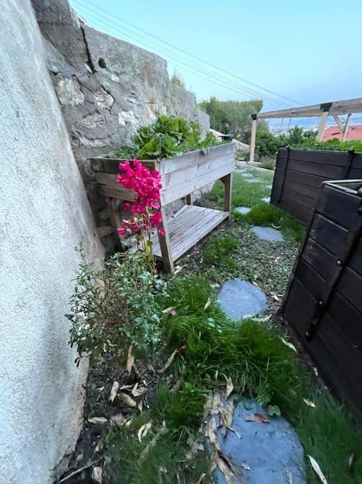 Superbe Terrasse Avec Vue Panoramique Sur La Mer Marseille Luaran gambar