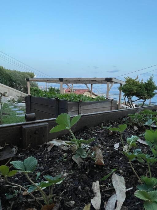 Superbe Terrasse Avec Vue Panoramique Sur La Mer Marseille Luaran gambar